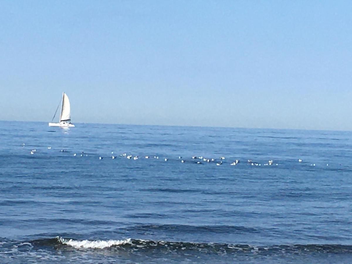 La Mouette Bleue Maison De Ville Individuelle Et Climatisee Martigues Kültér fotó